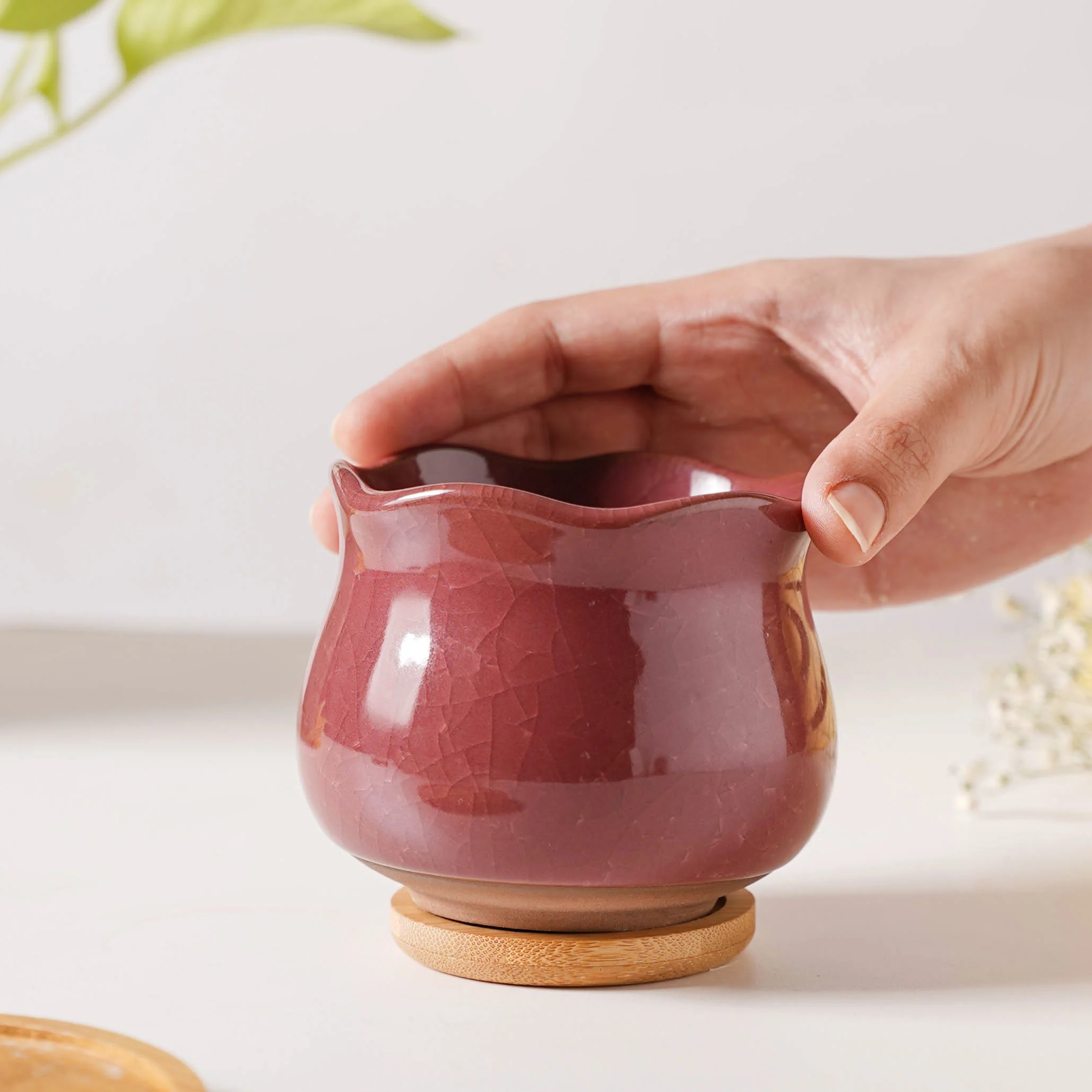 Botanica Brown Ceramic Planter With Coaster - Image 2