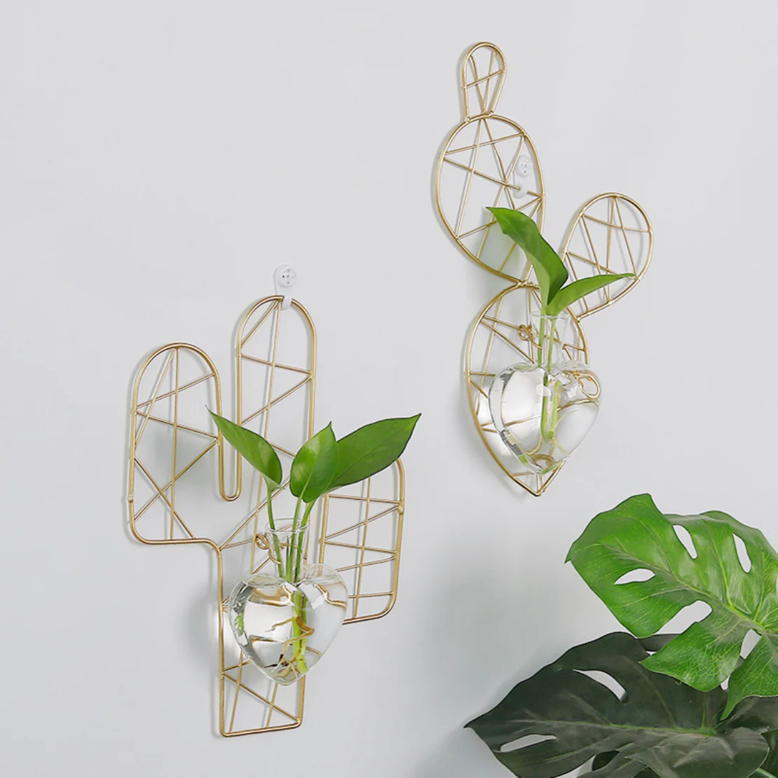 Cactus Hanging Plant - Image 5