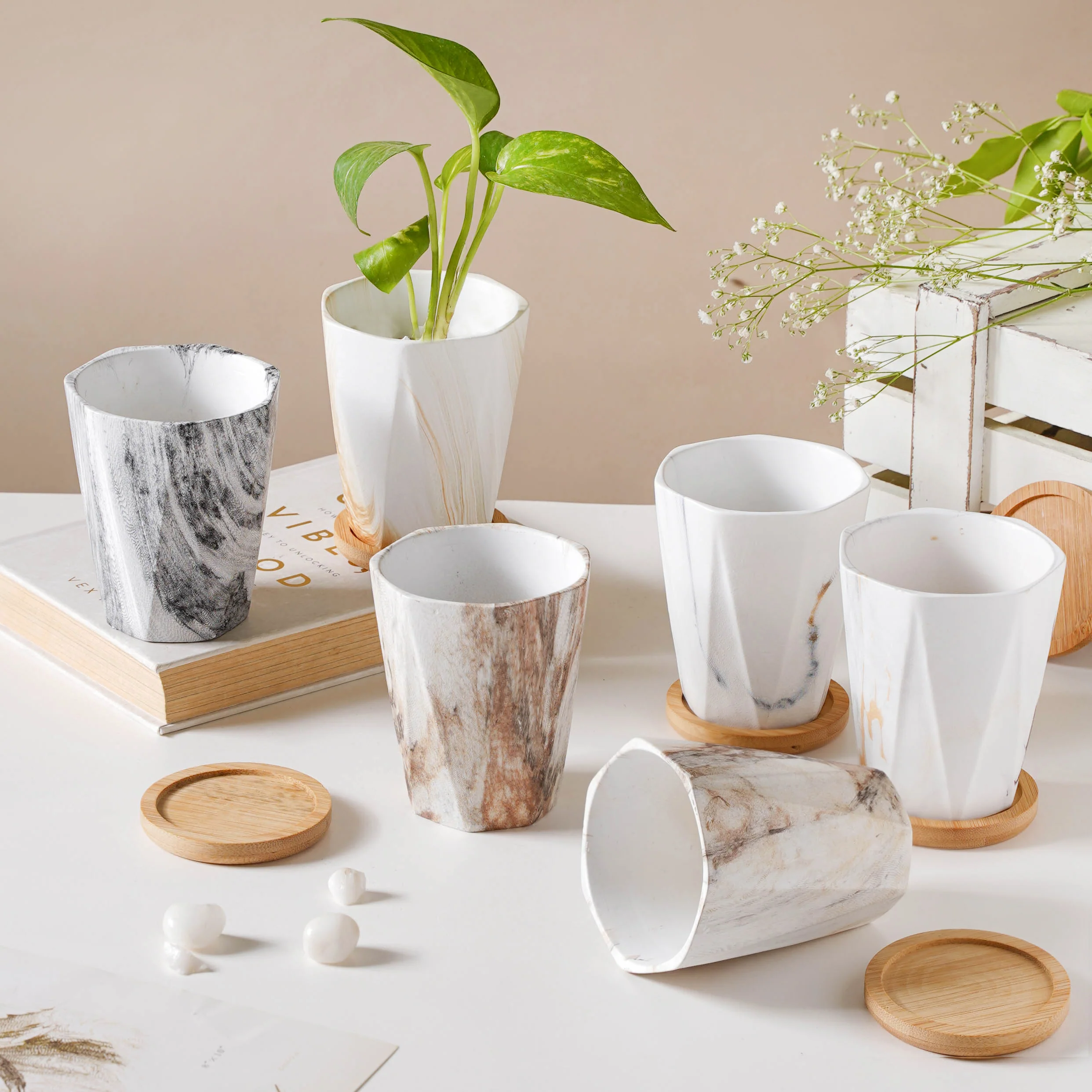 Carrara Limestone Planter With Coaster - Image 10