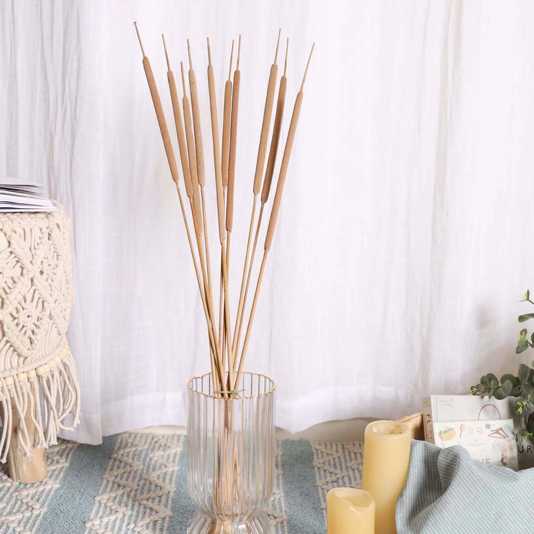 Cattail Stem For Decor - Image 2