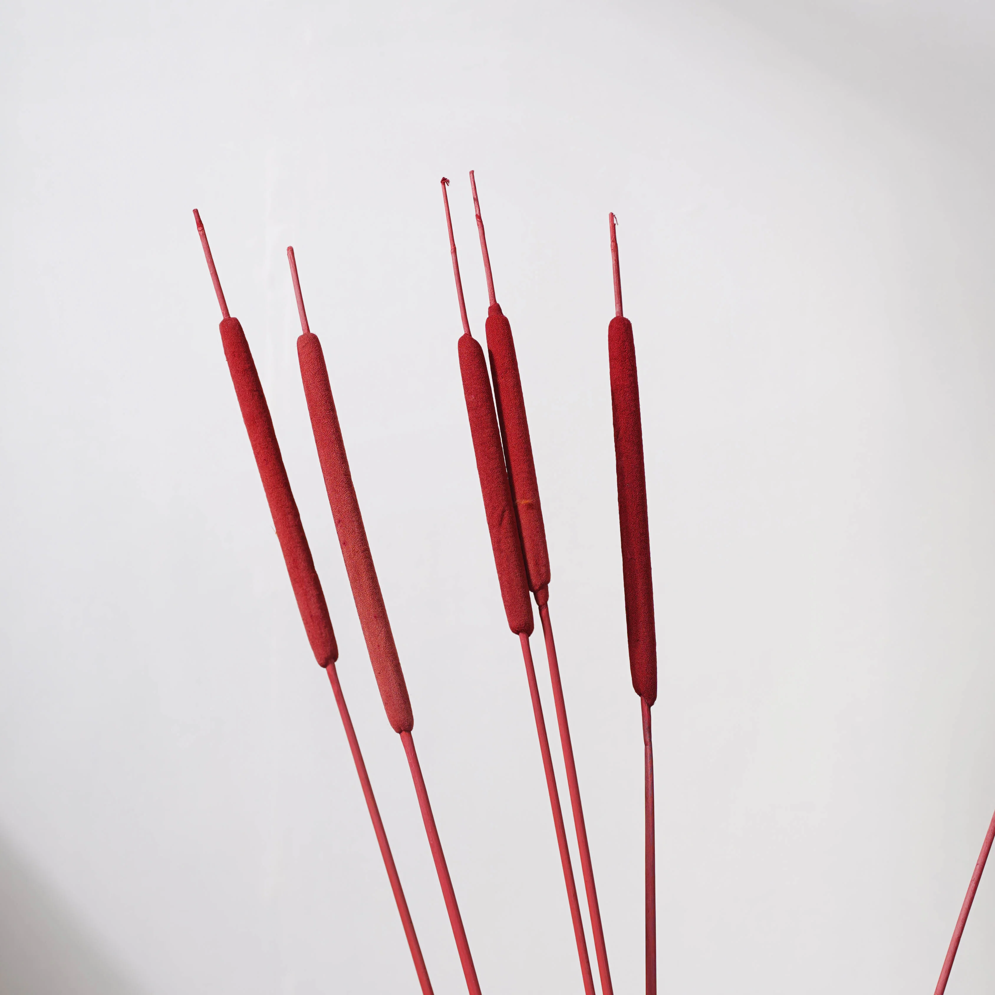 Cattail Stem Red - Image 5