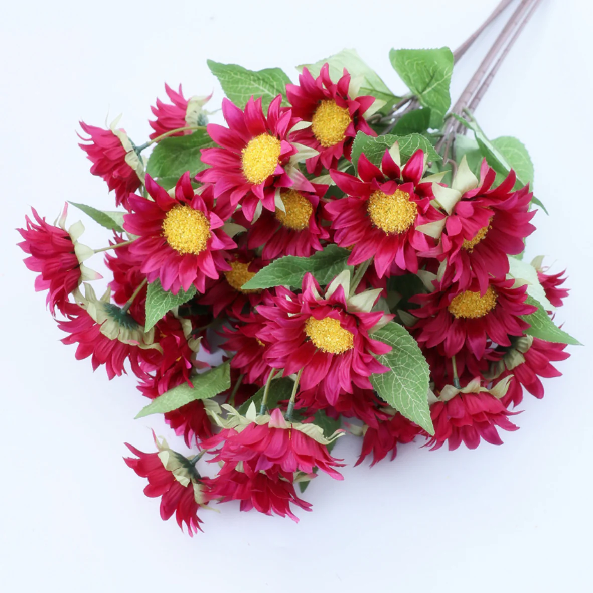 Colourful Sunflower - Image 12