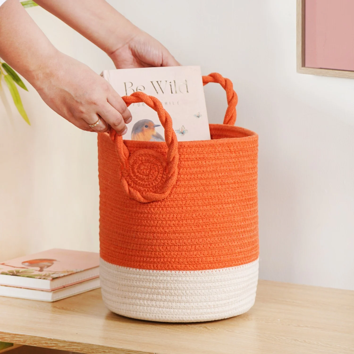 Dainty Dual Colour Storage Basket 26cm - Image 3