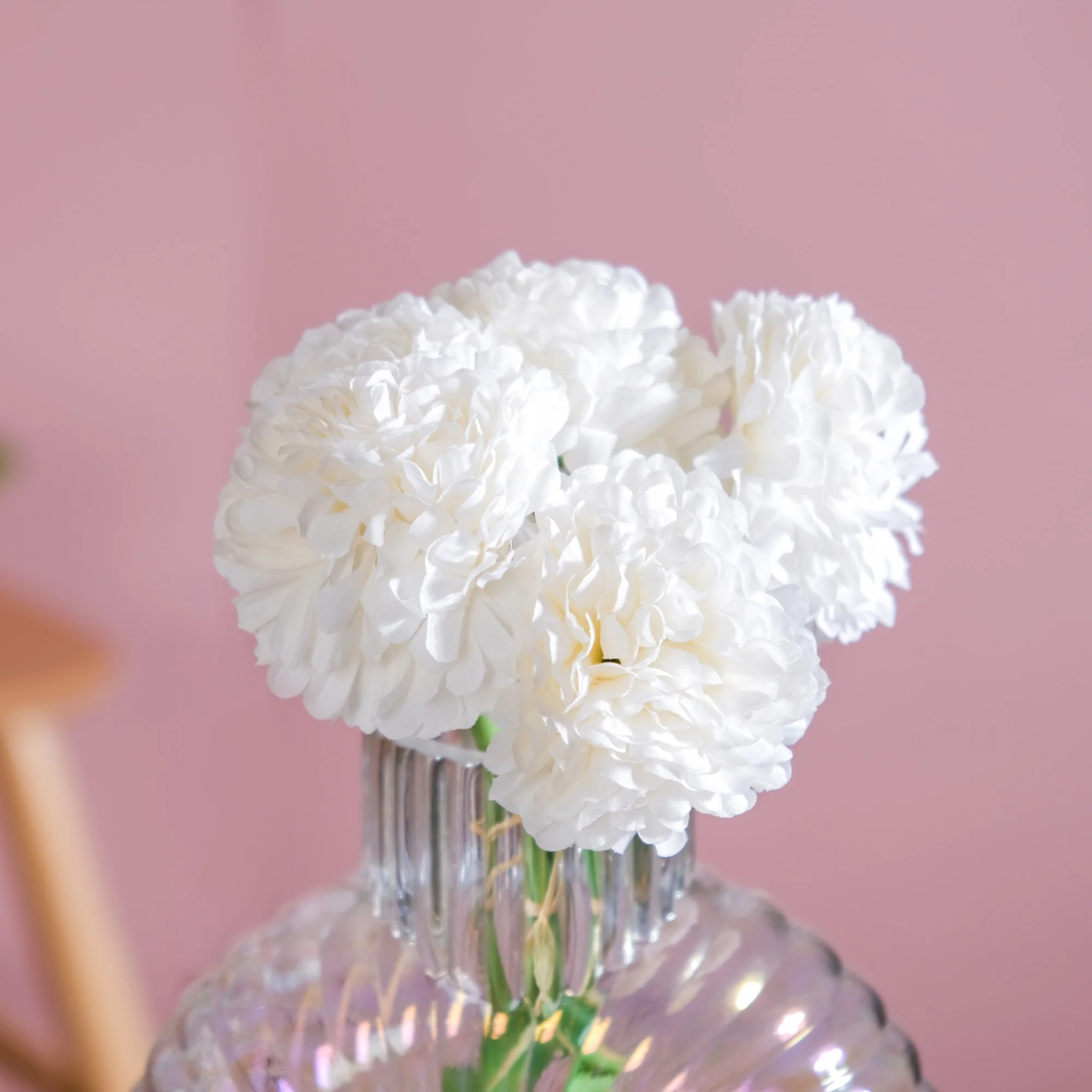 Chrysanthemum White - Image 4
