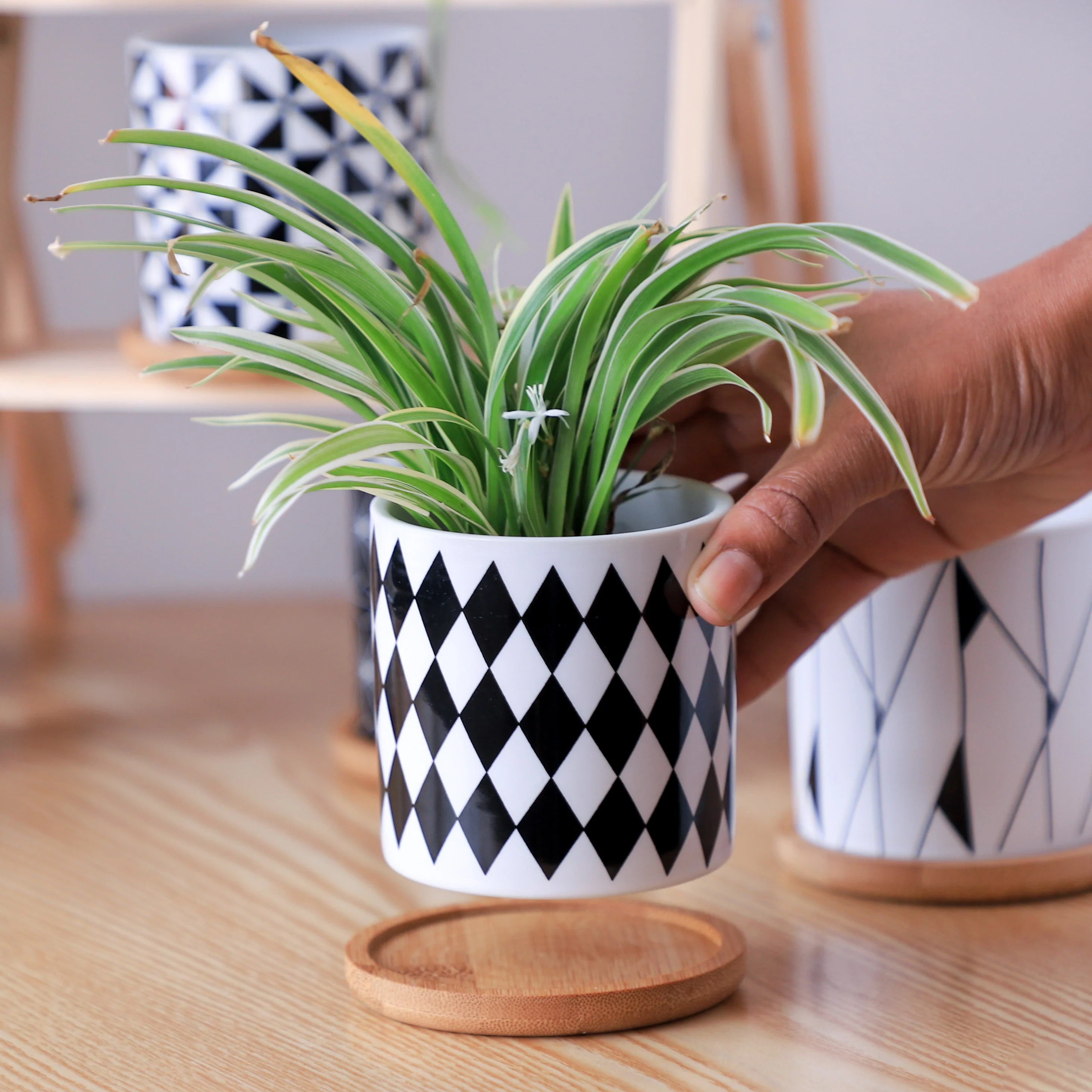 Ebony & Ivory Ceramic Planter With Coaster Set Of 8 - Image 17