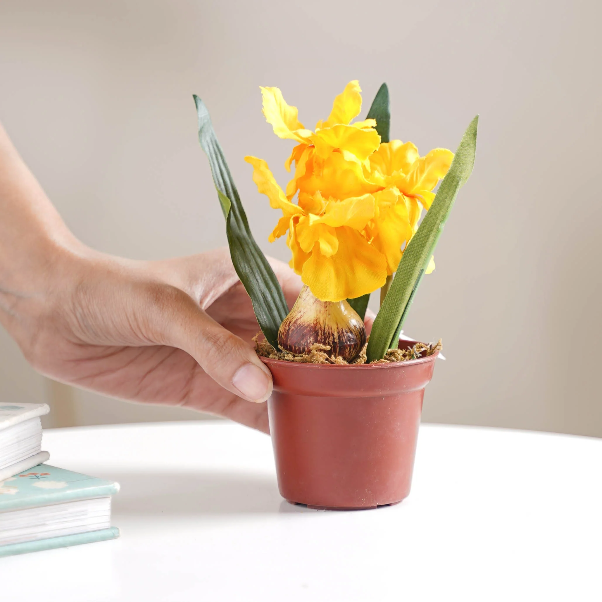 Faux Iris Plant - Image 6