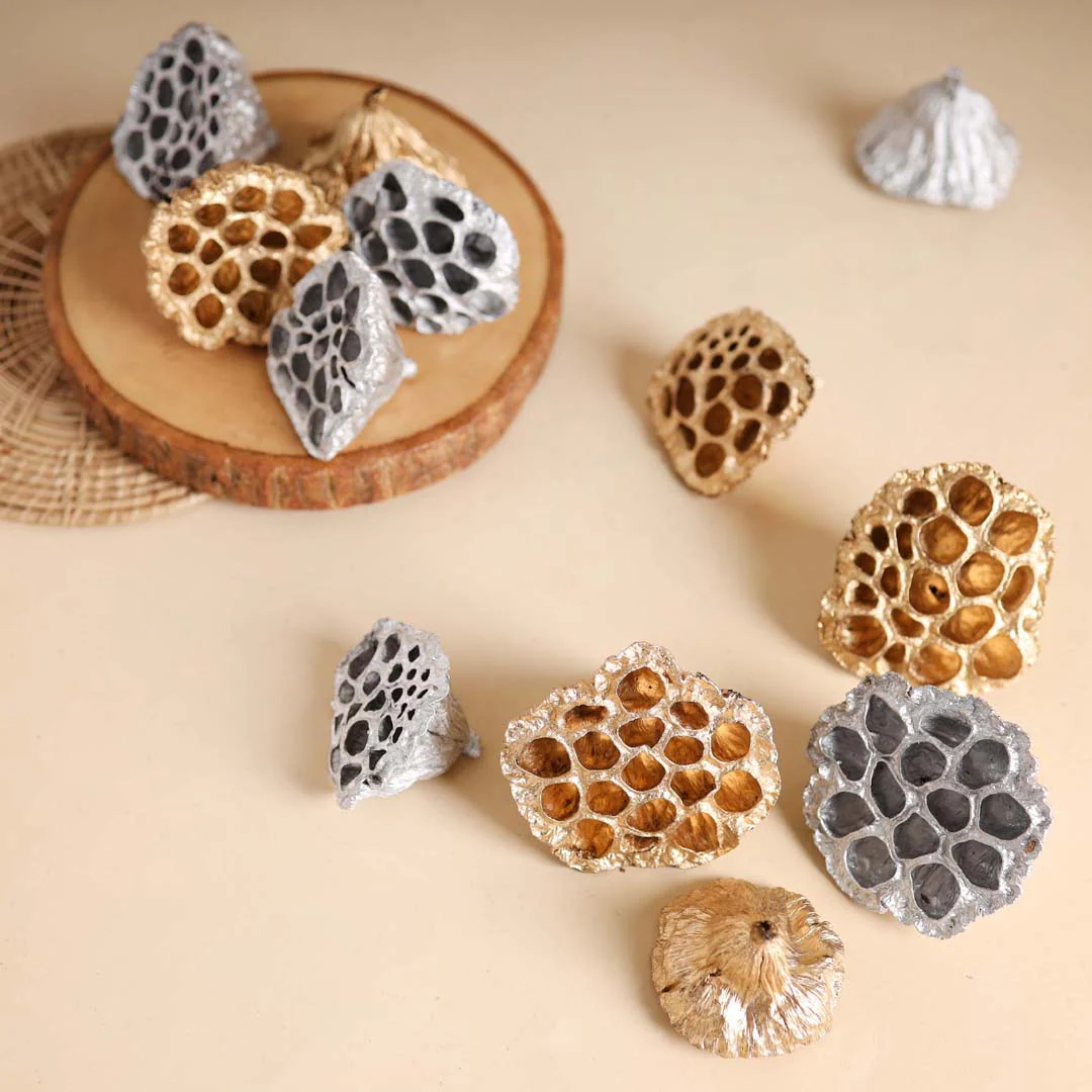 Lotus Pod For Decor - Image 5