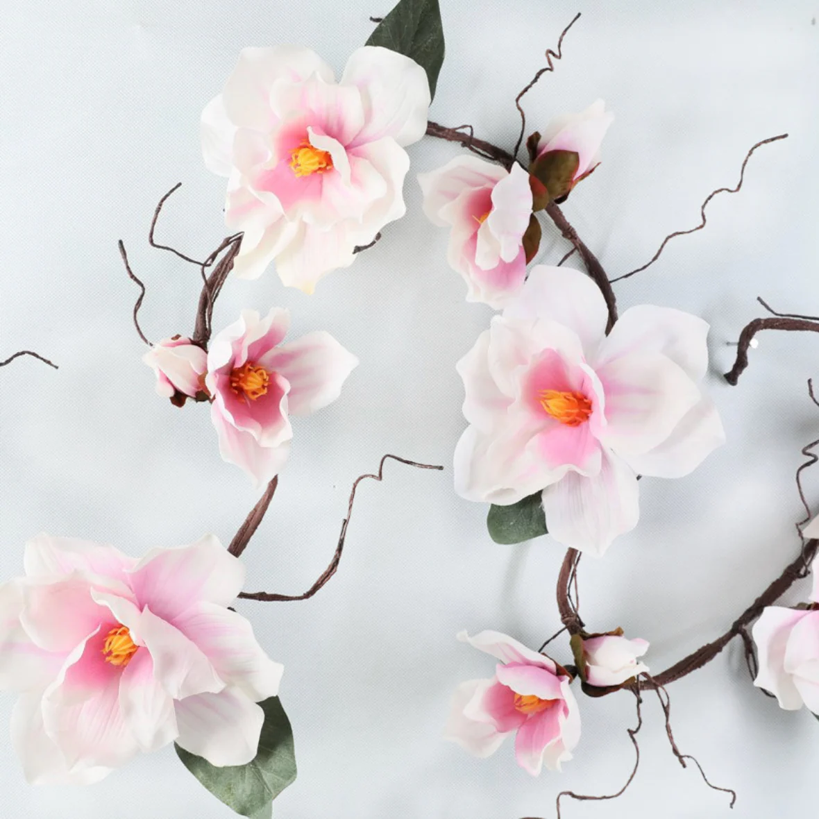 Magnolia Vine - Image 16