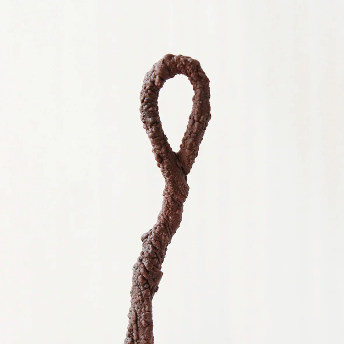 Magnolia Vine - Image 23