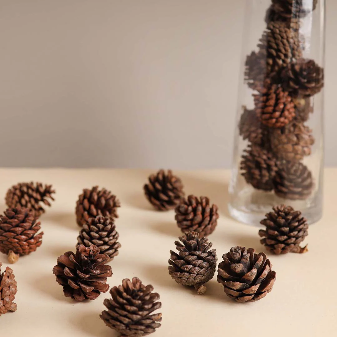 Natural Pine Cones Small - Image 6