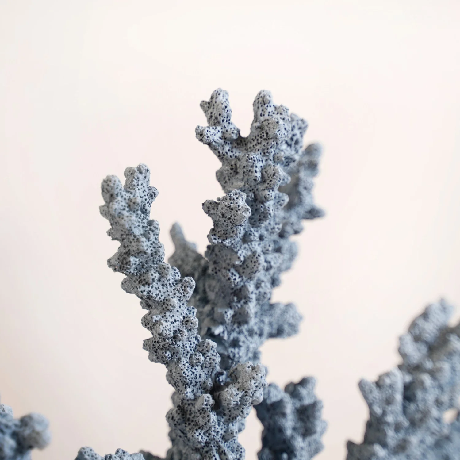 Nautical Coral Decor - Image 5