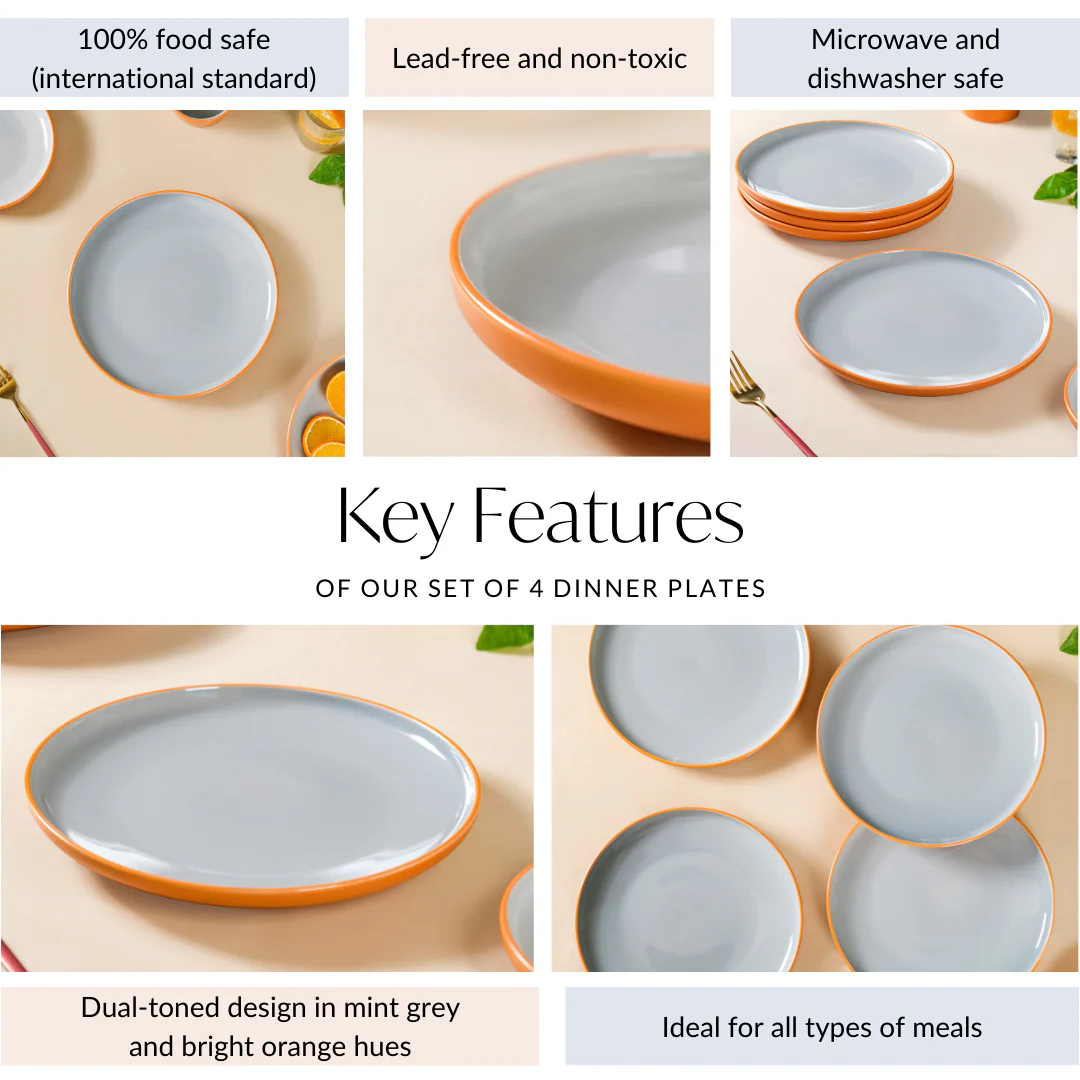 Orange Zoella Set Of 4 Dinner Plates 10 Inch - Image 5