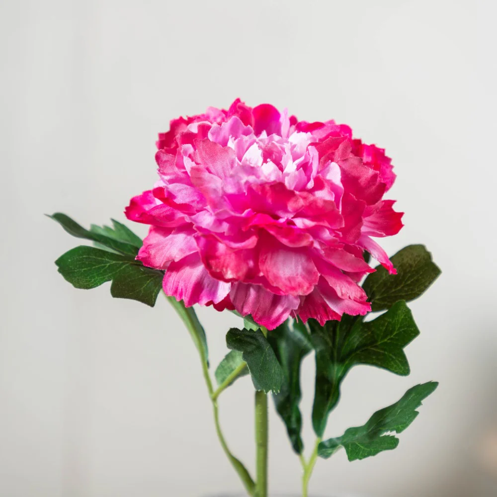 Peony Artificial Flower Maroon Set Of 5 - Image 3
