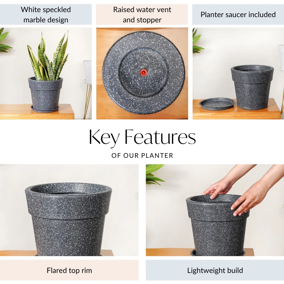 Planterra Grey Planter With Plate 10x9 Inch - Image 5