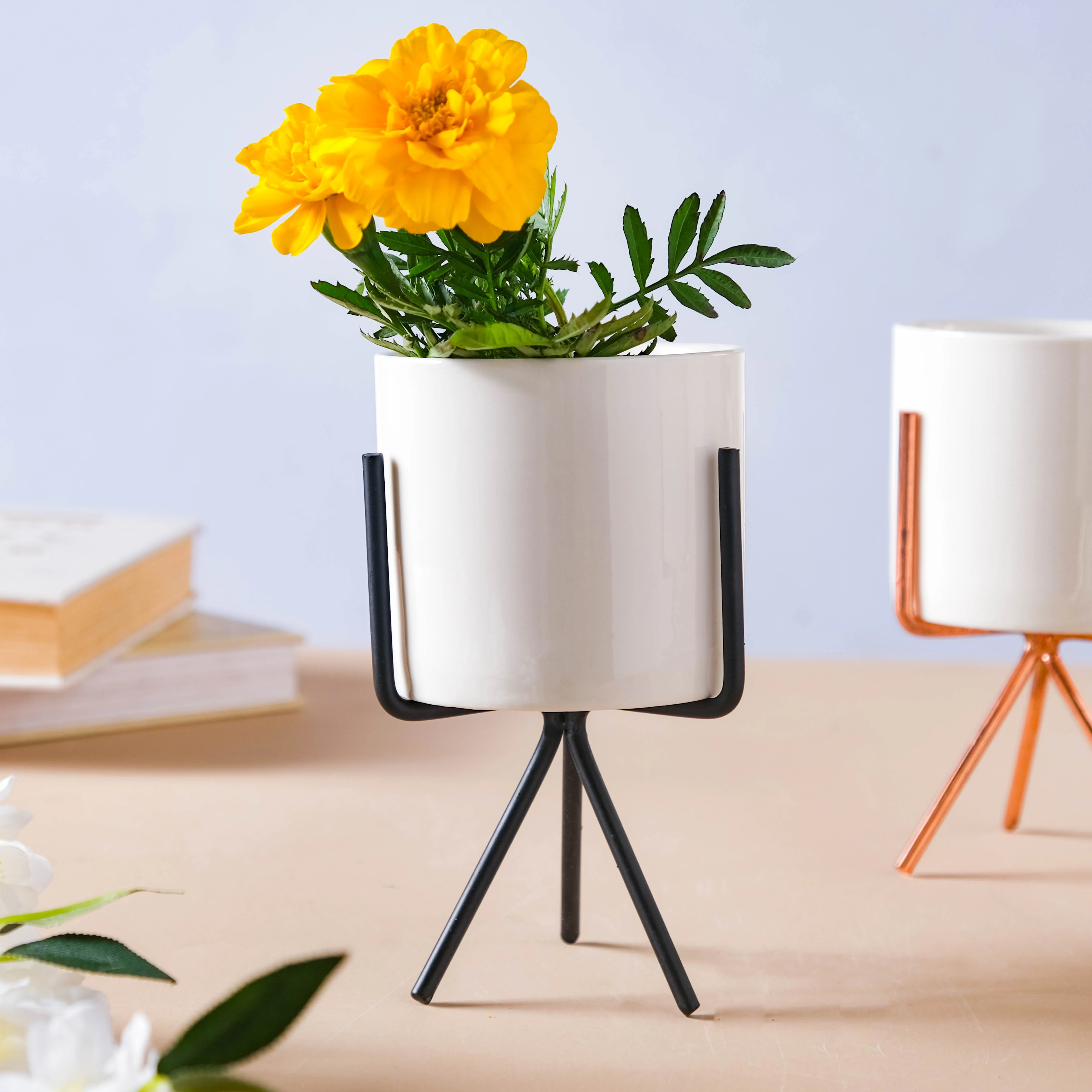 Porcelain Planter - Image 8