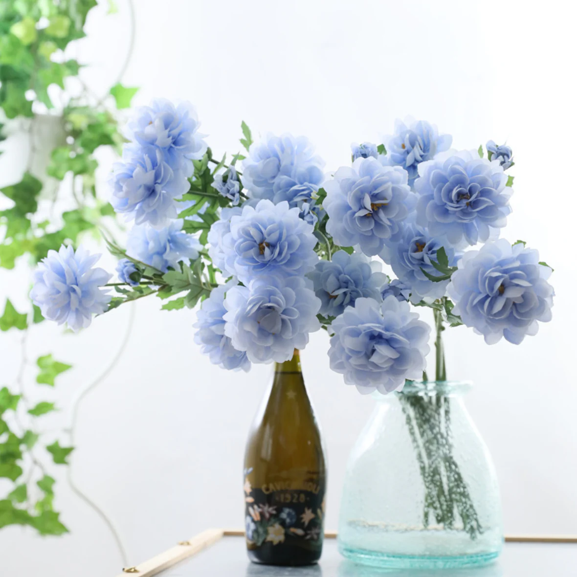 Snow Lotus - Image 12