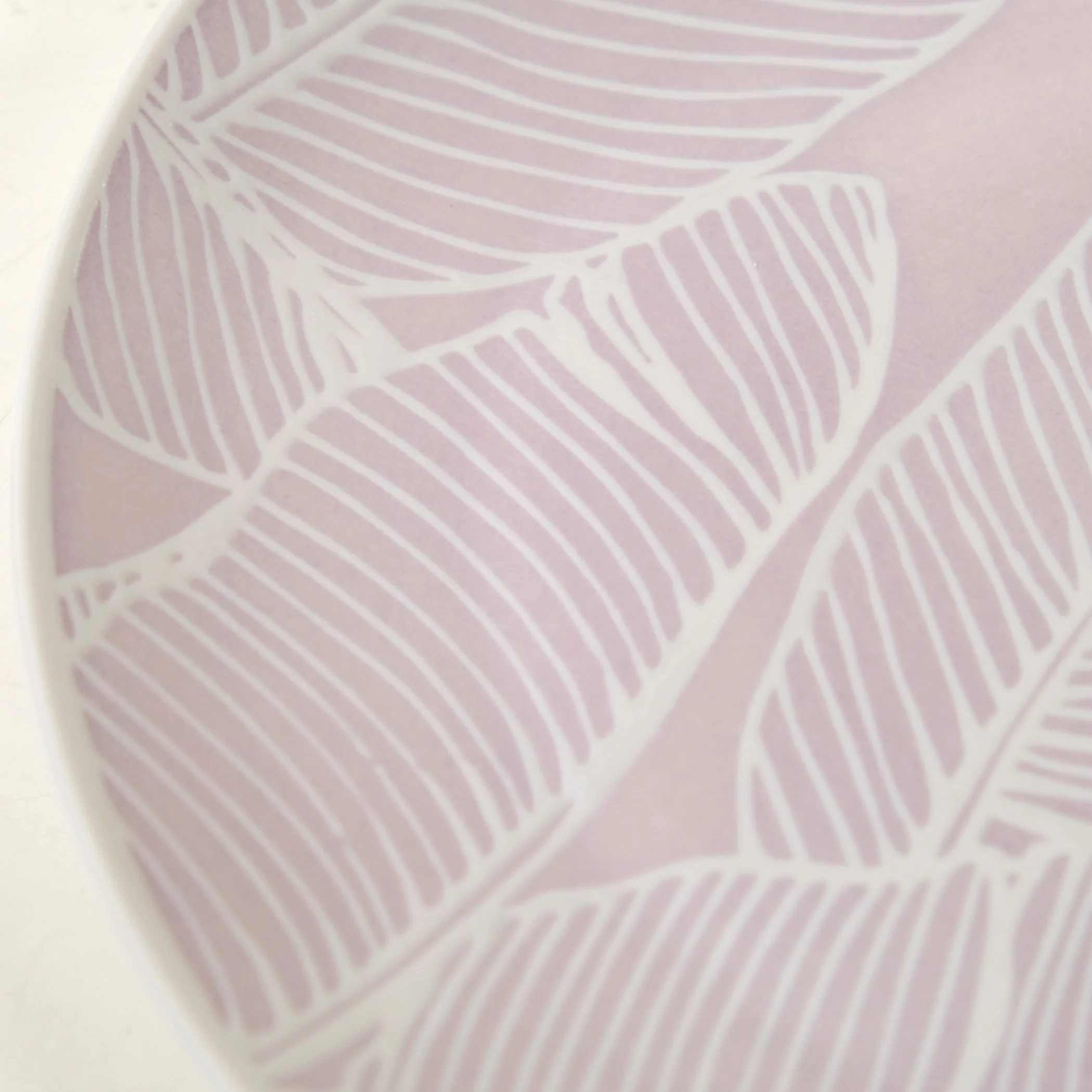 Tropica Light Mauve Banana Foliage Dinner Plate Set Of 4 10 Inch - Image 7