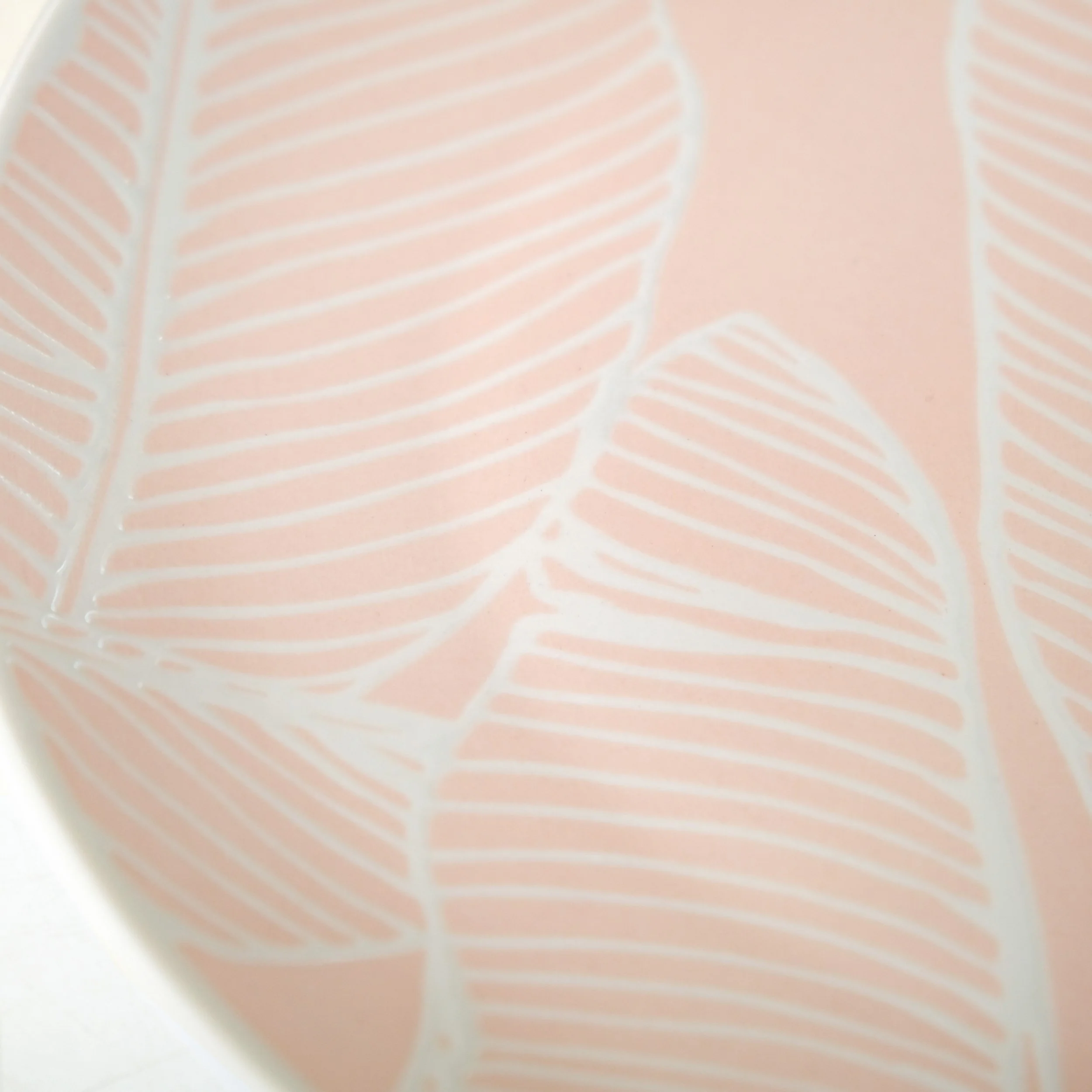 Tropica Pastel Pink Ceramic Dinner Plate Set Of 4 10 Inch - Image 7