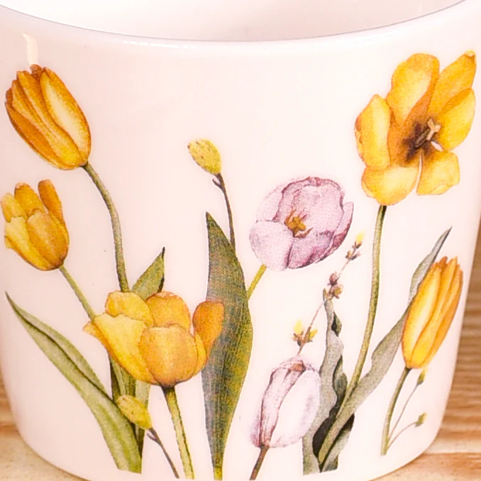 Tulip Of The Valley Tea Cup Set Of 6 150ml - Image 8