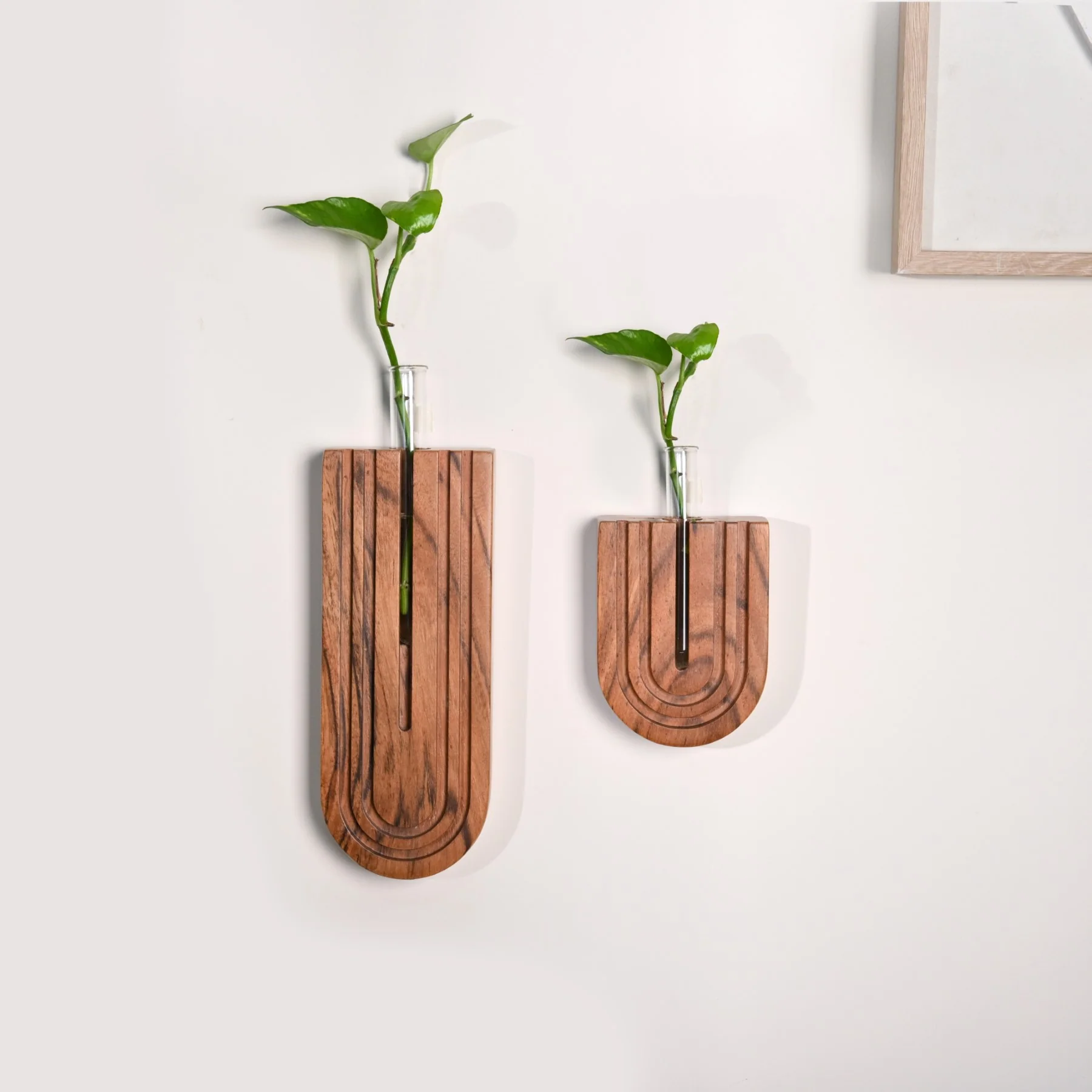 U Shaped Hydroponic Test Tube Wall Planter Set Of 2 - Image 7