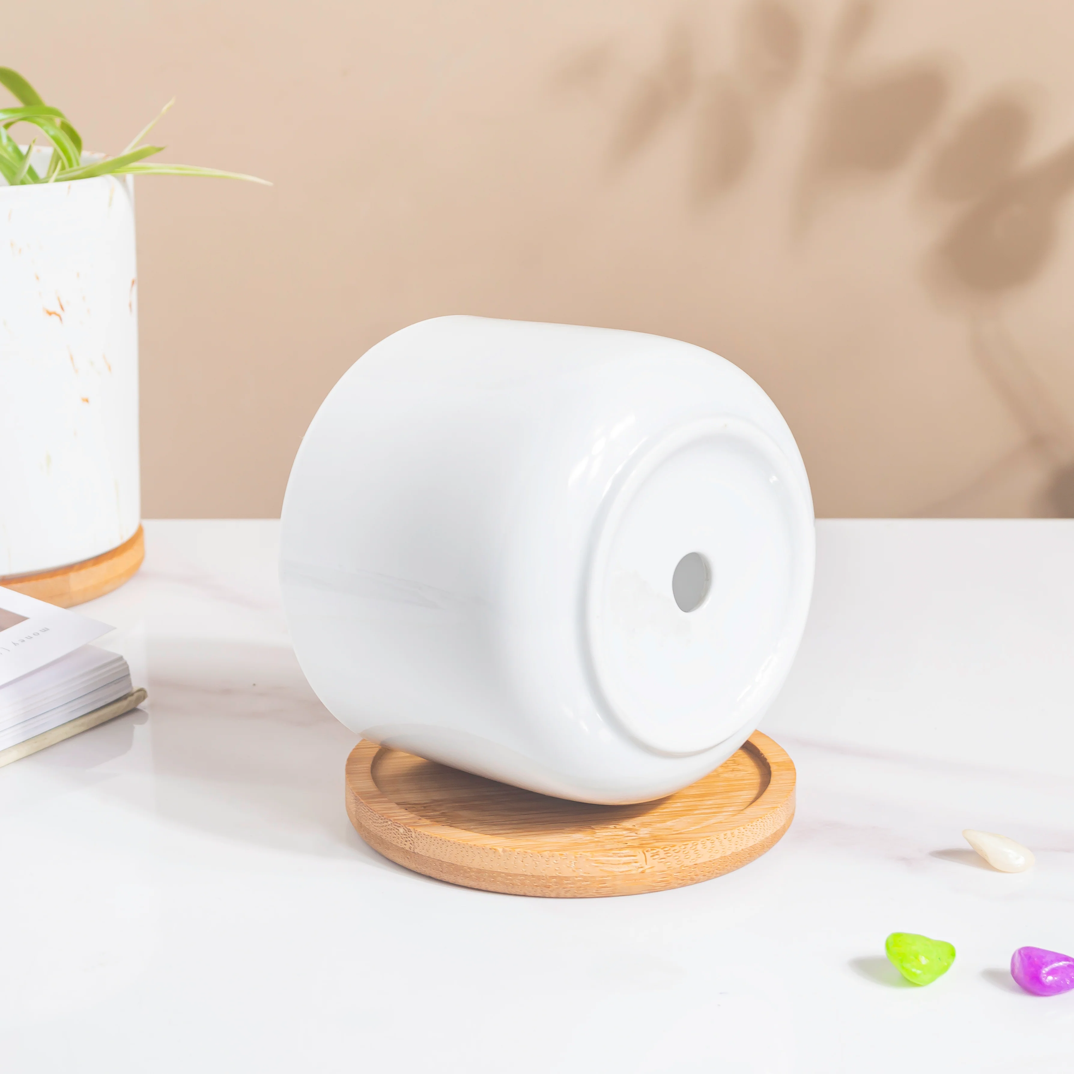 White Mosaic Ceramic Planter And Wooden Coaster - Image 5