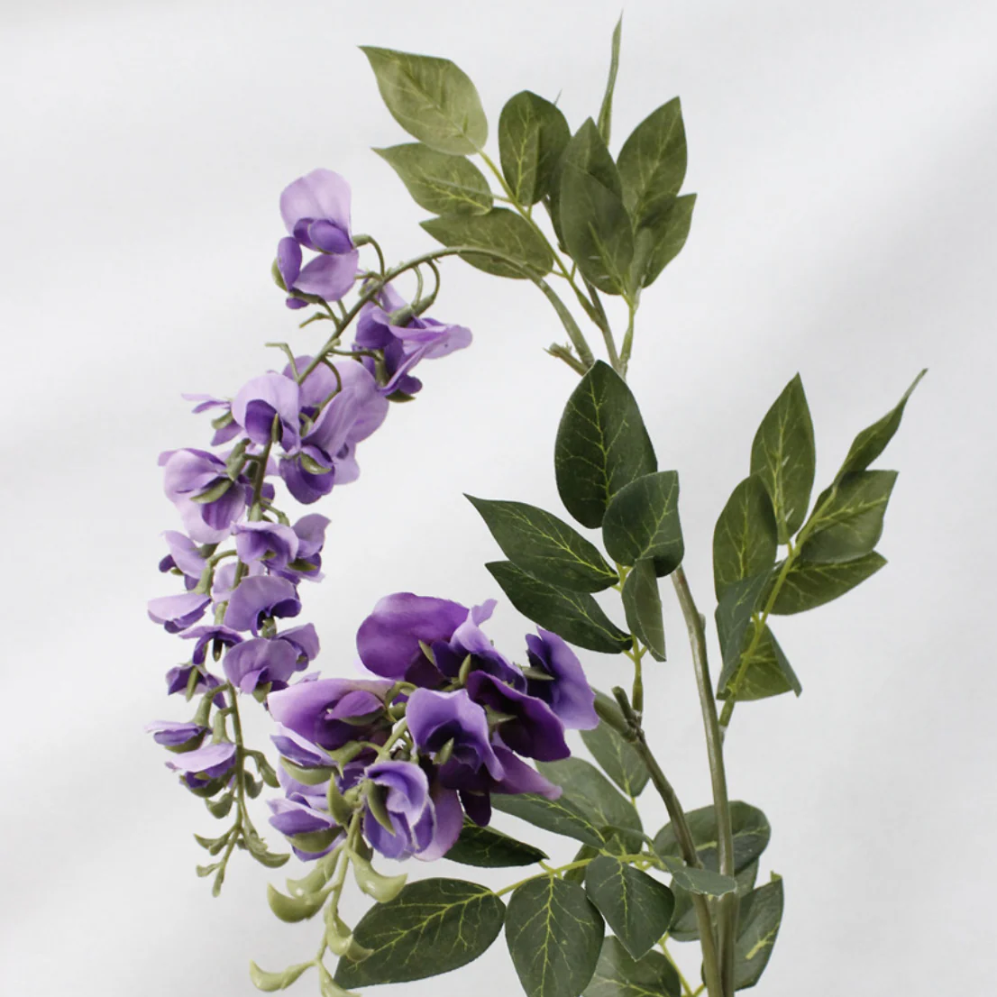Wisteria Flower - Image 6